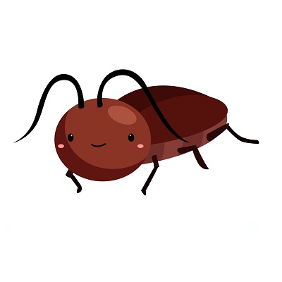 Cucaracha.jpg
