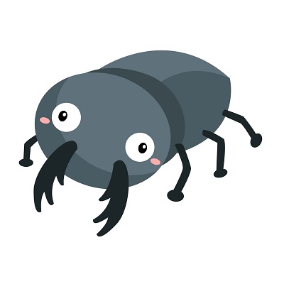 Escarabajo.jpg